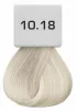 Berrywell farba do włosów 10.18 60 ml