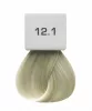 Berrywell farba do włosów 12.1 60 ml