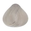 Alfaparf Evolution farba do włosów 60ml 10.1