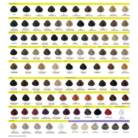 Yellow Color 100ml 1