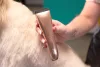 Wahl Animalline MOTIVA2 Rosegold 3028118 maszynka do strzyżenia zwierząt