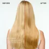 OLAPLEX Total Hair Repair Set