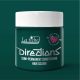 Directions színező 100ml Alpine Green