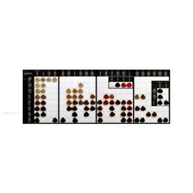 Carin Color Intensivo Színskála